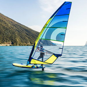 Windsurf-Segel / freerace