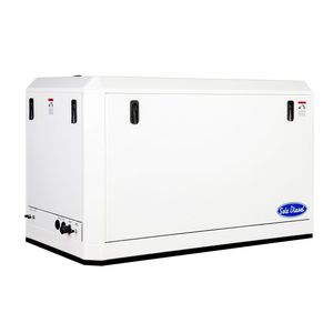 Diesel-Stromaggregat 1