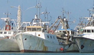 Fishfinder für Fischereischiffe