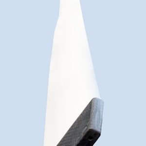 Foil-Mast