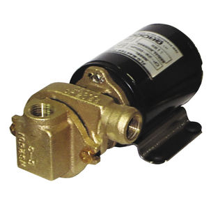 Pumpe für Boot