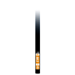 Mast für Windsurfen