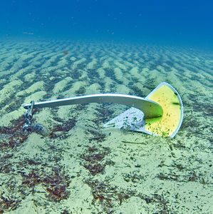 Spade-Anker