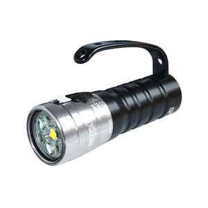LED-Tauchlampe 1
