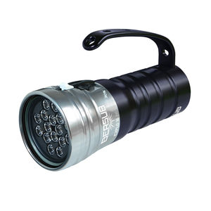 LED-Tauchlampe 1