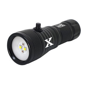 LED-Tauchlampe 1