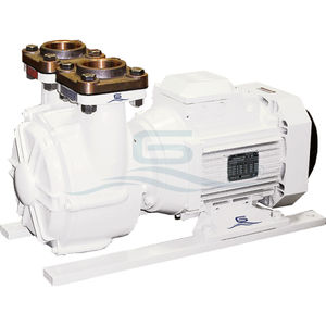 Pumpe für Boot