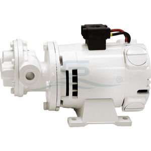Pumpe für Boot 1