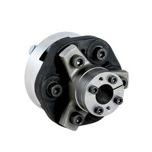flexible mechanische Kupplung