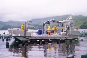 Boot für Aquakulturen Berufsschiff 1