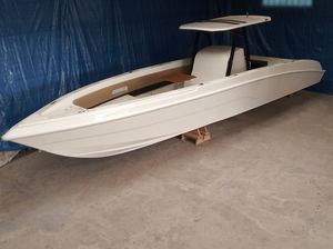 Außenborder-Konsolenboot