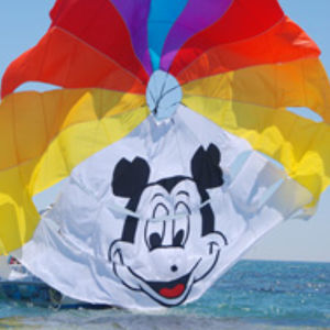 maßgefertigter Parasailing-Fallschirm