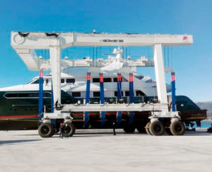 ferngesteuerter Travellift
