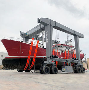 ferngesteuerter Travellift