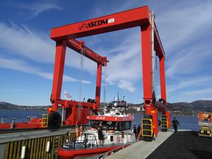 ferngesteuerter Travellift