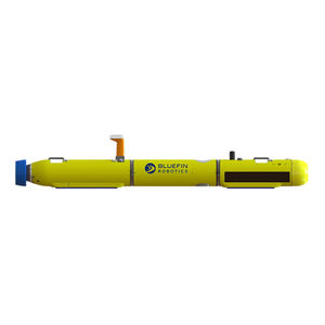 AUV 1