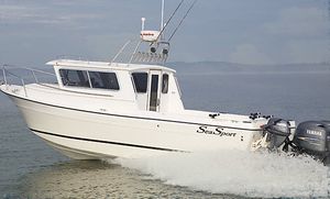 Cabin-Cruiser / Außenborder 1