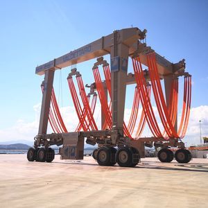 ferngesteuerter Travellift 1