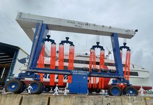 ferngesteuerter Travellift 1