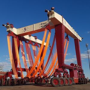 ferngesteuerter Travellift 1