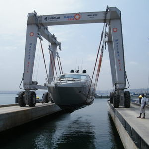ferngesteuerter Travellift 1