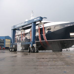 ferngesteuerter Travellift 1