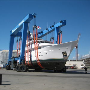 ferngesteuerter Travellift 1