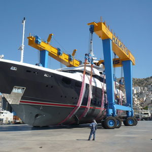 ferngesteuerter Travellift 1