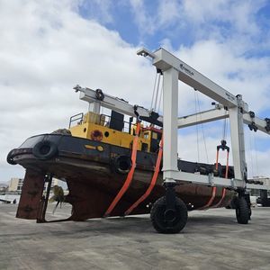 ferngesteuerter Travellift 1
