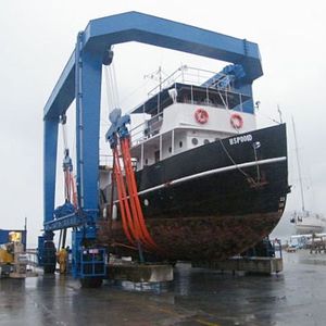 ferngesteuerter Travellift 1