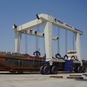 ferngesteuerter Travellift 1