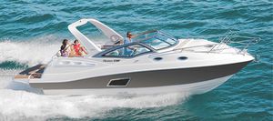 Innenborder-Runabout 1