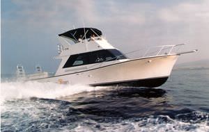 Express-Cruiser / Innenborder 1