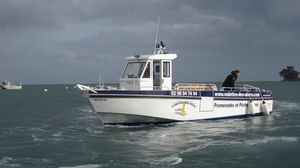 Passagierboot