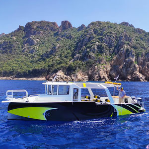 Passagierboot Berufsschiff 1