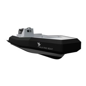 Patrouillenboot Berufsschiff 1