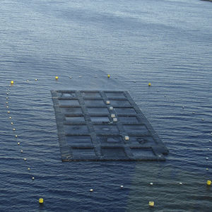 Schwimmponton