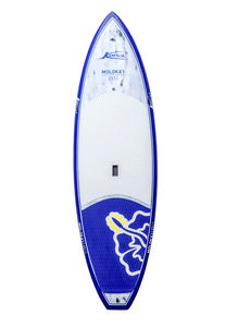 Stand-up-Paddleboard / wind-sup