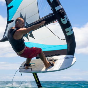 Wing-SUP 1