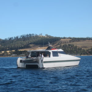 Katamaran-Motoryacht