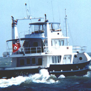 Motoryacht für Kreuzfahrten 1