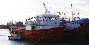 Offshore-Hafenboot Berufsschiff 1