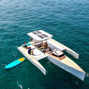 Trimaran-Daycruiser 1