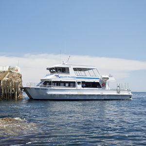 Passagierboot Berufsschiff 1