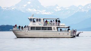 Ausflugsboot Berufsschiff 1