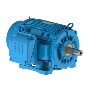 Innenbordmotor / elektrisch / für Berufsboot / für Schiffe