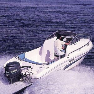 Außenborder-Daycruiser 1