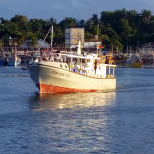 Berufsschiff / Berufsschiff für Fischerei