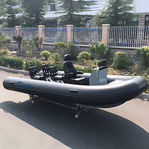 Außenborder-Schlauchboot 1