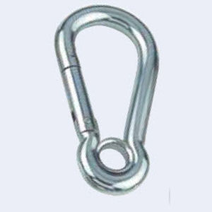 Standard-Schnappschäkel